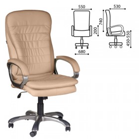 Кресло офисное BRABIX Omega EX-589 в Нерюнгри - neryungri.katalogmebeli.com | фото 1
