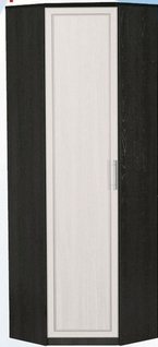 Шкаф для одежды угловой ДЛЯ ГОСТИНОЙ ШОУ-695 Венге/Дуб выбеленный в Нерюнгри - neryungri.katalogmebeli.com | фото