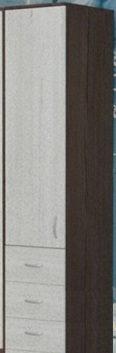 Шкаф-пенал №2 (закрытый) Бодего темный/Винтерберг в Нерюнгри - neryungri.katalogmebeli.com | фото 1